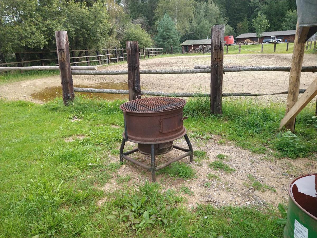 Penzion Farma U Mauritzu Stožec Exterior foto